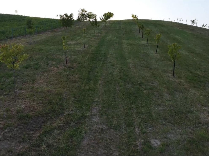 Građevinsko zemljište TOP pozicija