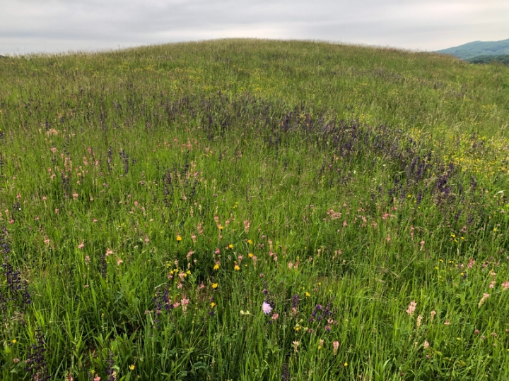 Građevinsko zemljište TOP pozicija
