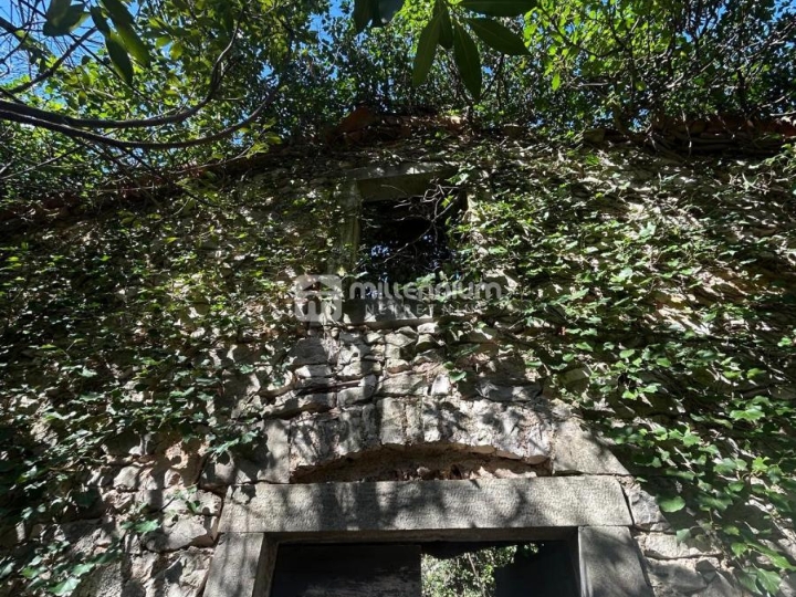 Istra, okolica Labina, 95m2 s okućnicom