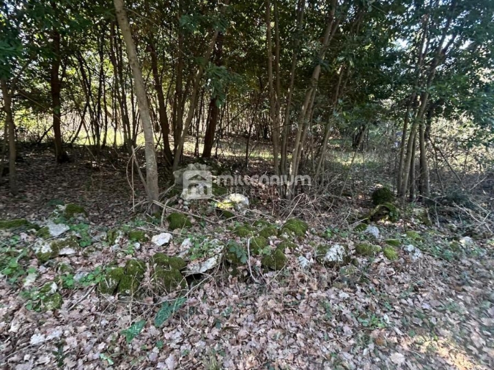 Istra, okolica Labina, građevinsko zemljište od 637m2