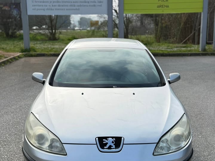 Peugeot 407