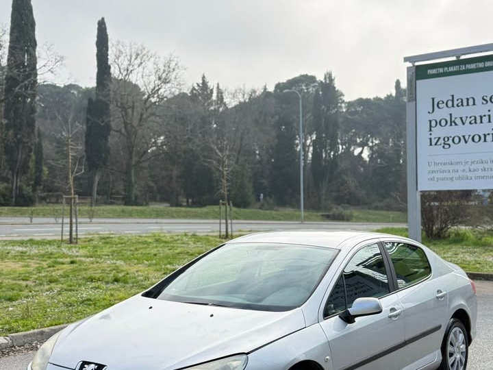 Peugeot 407
