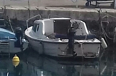Primorka prodaja