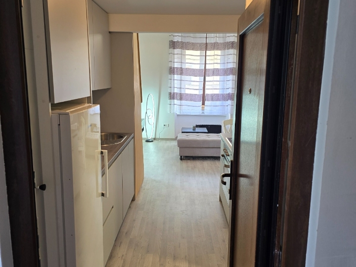 Najam kompletno renoviranog stana