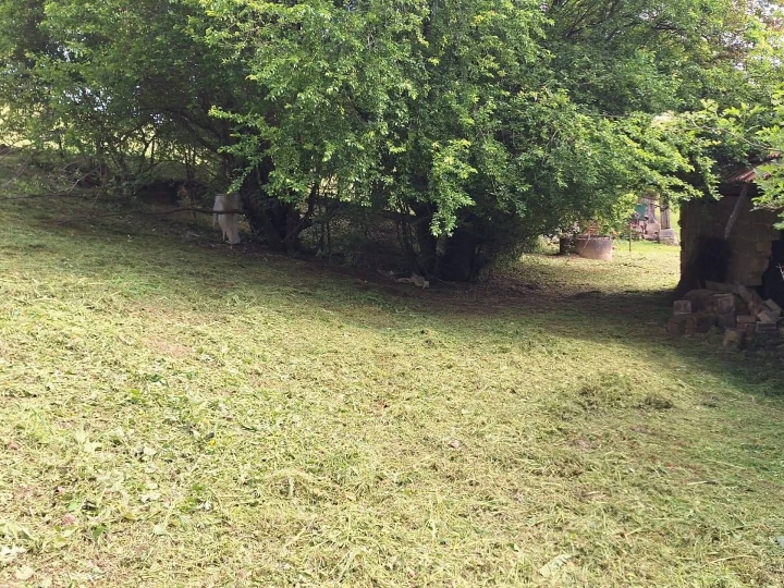 35.000 € kuća + 5.000 m2 okućnice