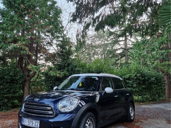 Mini Countryman D