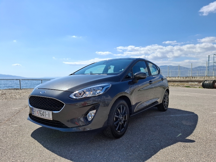 Ford Fiesta 2019. - Business Winter