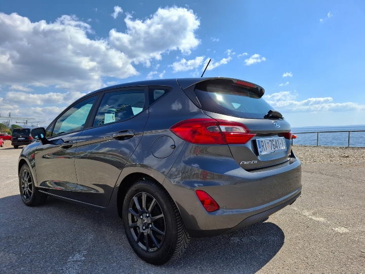 Ford Fiesta 2019. - Business Winter