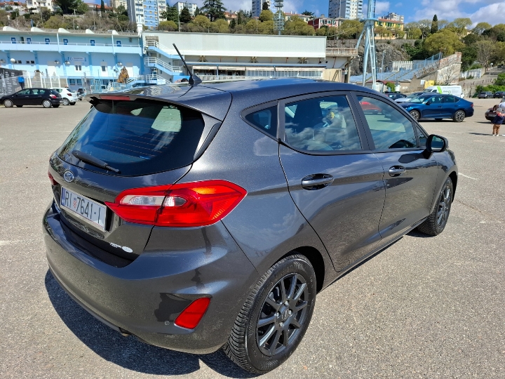 Ford Fiesta 2019. - Business Winter