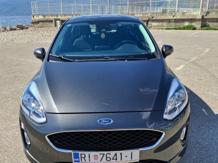 Ford Fiesta Business Winter Edition
