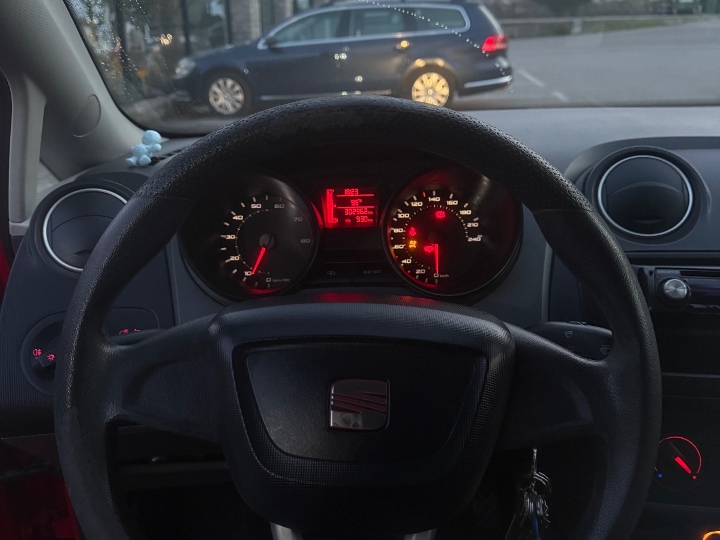 Seat Ibiza, 2009. god.