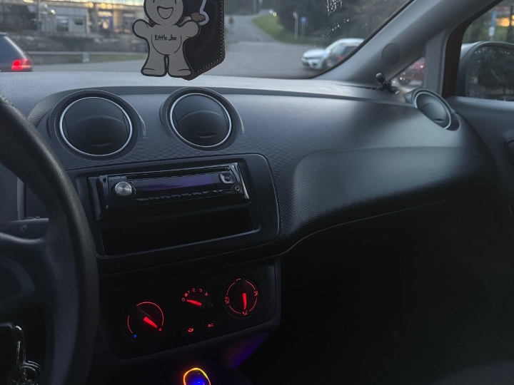 Seat Ibiza, 2009. god.