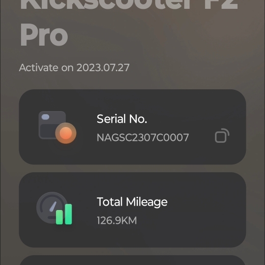 Segway Ninebot f2 plus