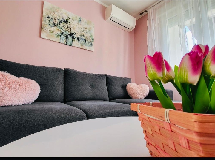 Dugoročni najam stana u Puli