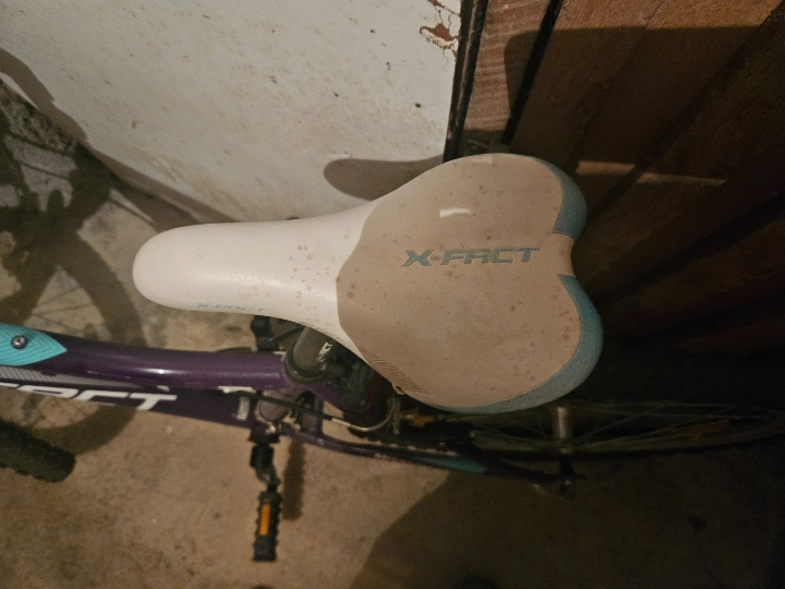 X-Fact 24 Mission Girl bicikl