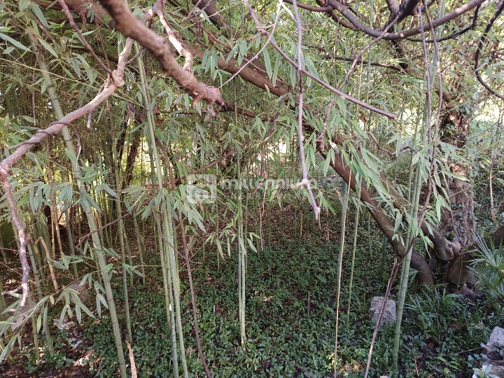 Lovran, 270m2, kuća s dva stana, okućnica, parking, vrt, blizina mora