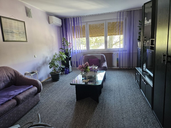 Srdoči, 2S+DB, samo u Consensusu!