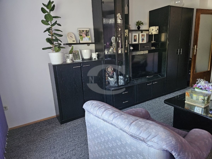 Srdoči, 2S+DB, samo u Consensusu!