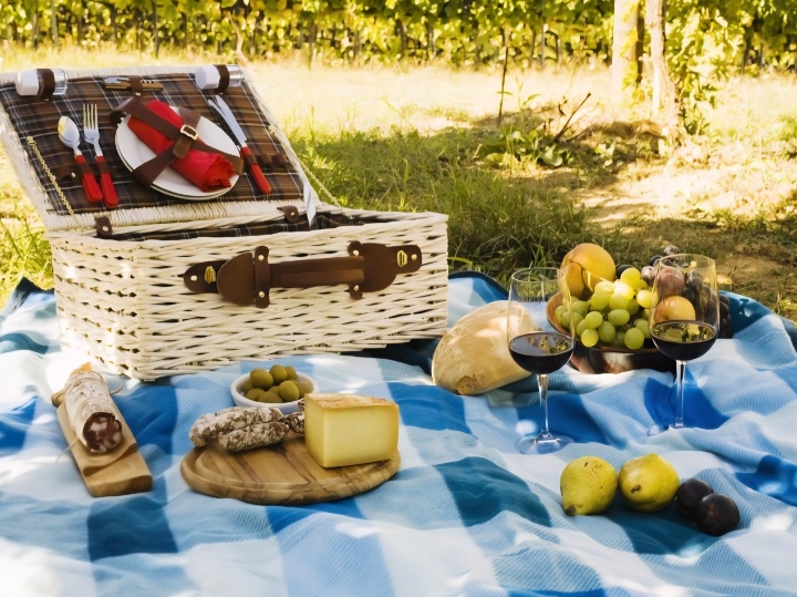 Žensku za ugodna druženja