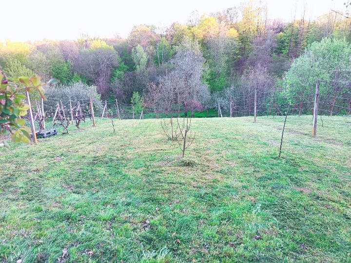 Građevinsko zemljište 625 m²