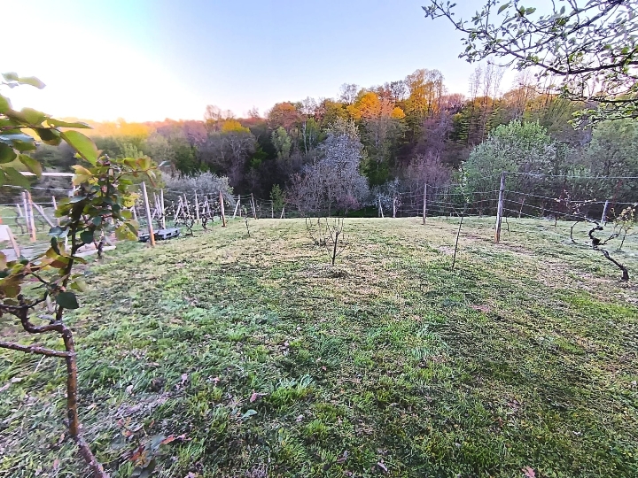 Građevinsko zemljište 625 m²