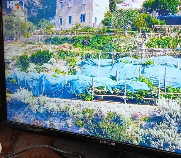 Samsung LED TV i Philips LED TV