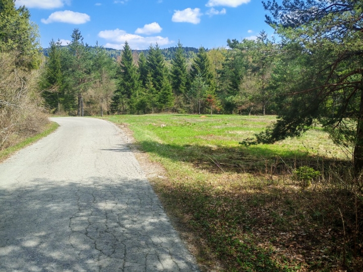 Prodajem šumu, livade,