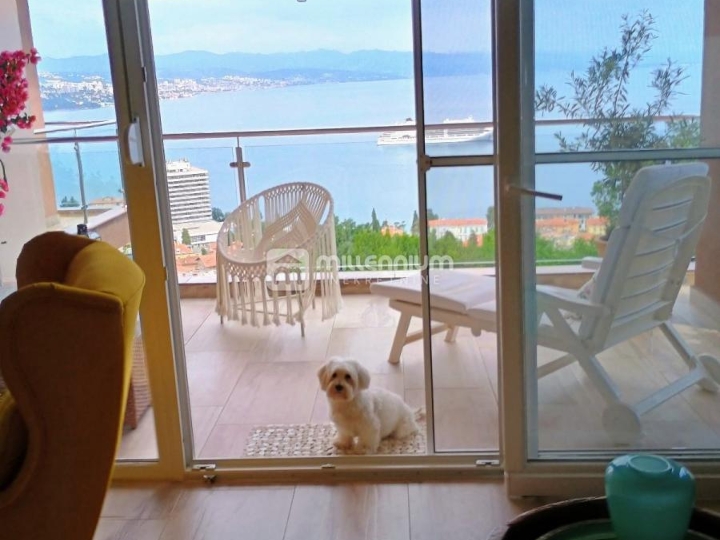 Opatija, 2S+DB, fenomenalni pogled, bazen, parking