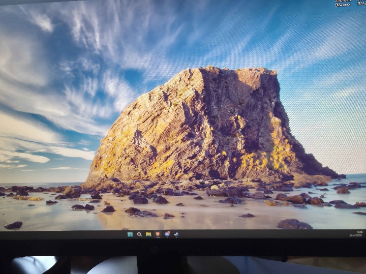 HP 24" monitor