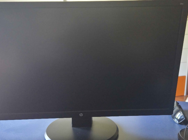 HP 24" monitor