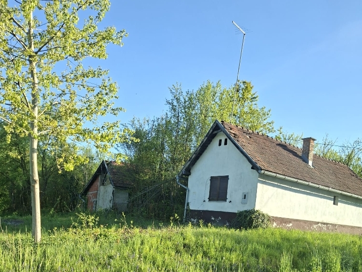 Suho Polje Borova kuća, zemljište