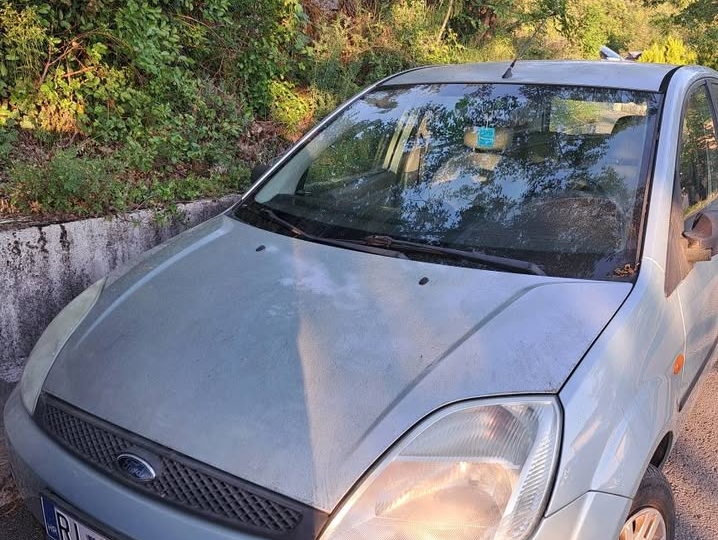 Ford Fiesta 1.3 sačuvana