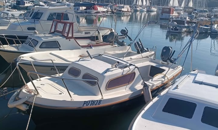 Barka Leidi 490