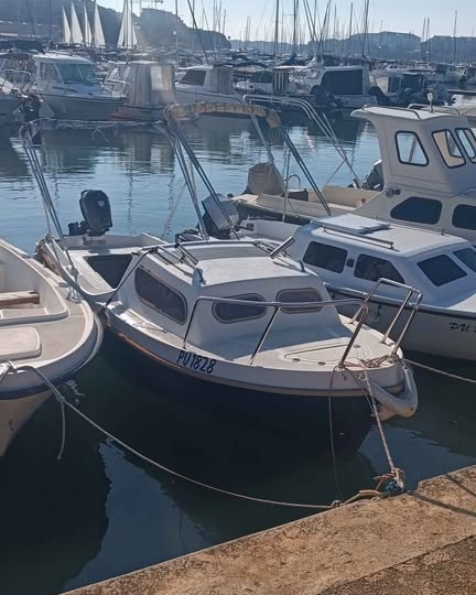 Barka Leidi 490