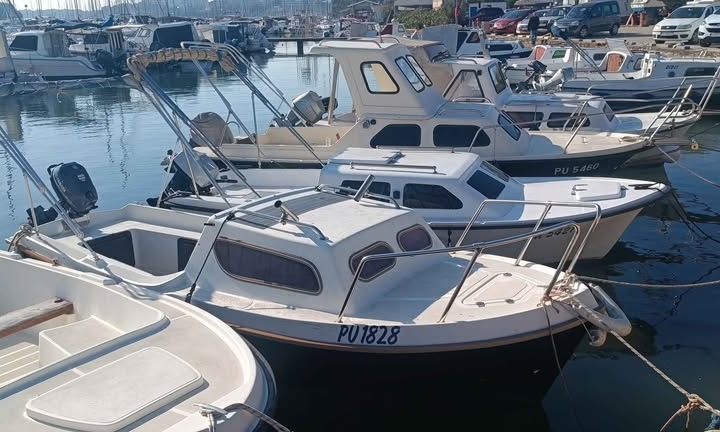 Barka Leidi 490