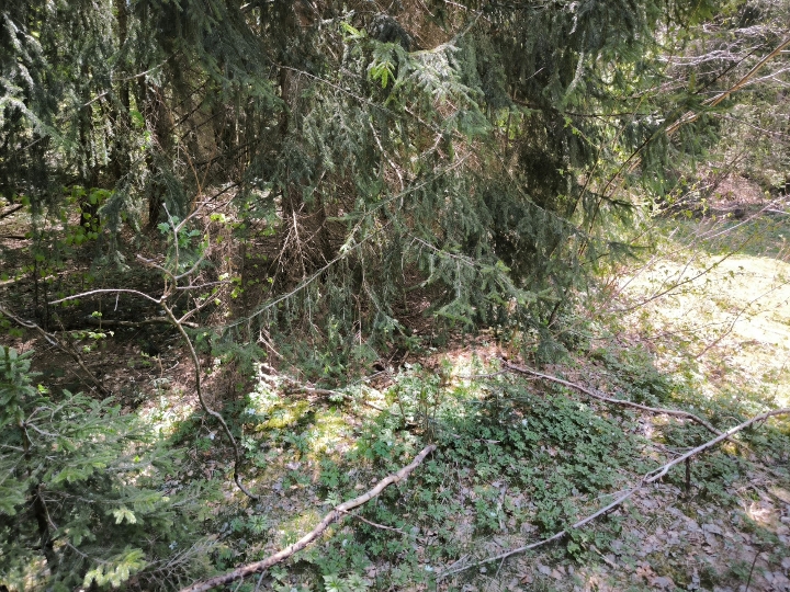 Košnja, malčanje, parcela