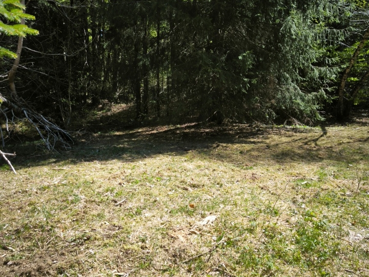 Košnja, malčanje, parcela
