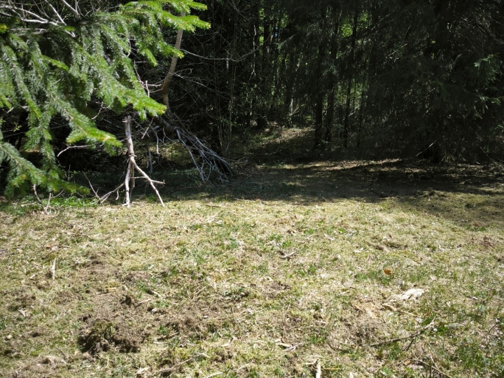 Košnja, malčanje, parcela
