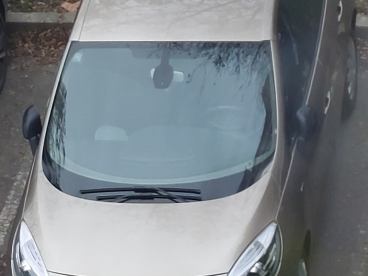 Renault Scenic III