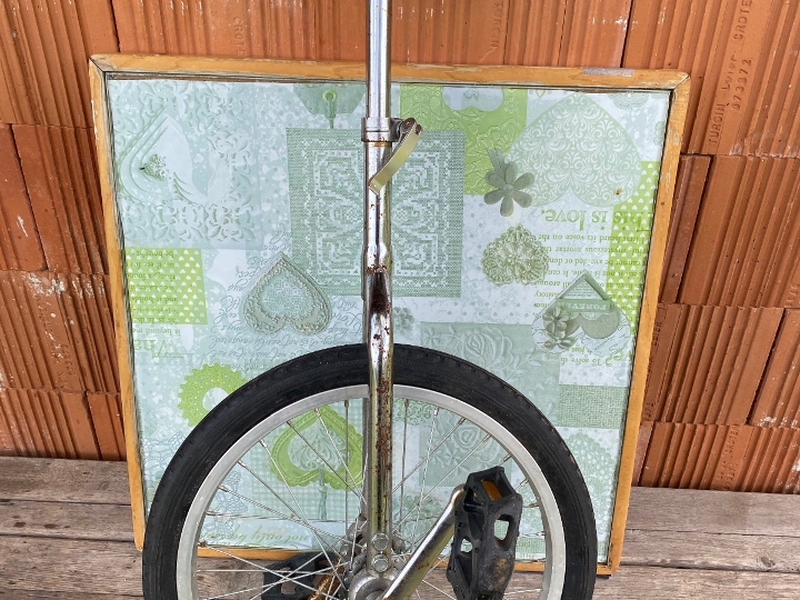 Monocikl