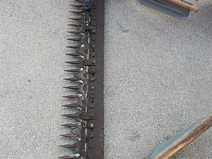 Kosilica samohodna BCS benzin