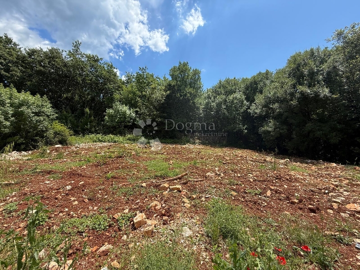 Pavićini - građevinsko zemljište 687m2