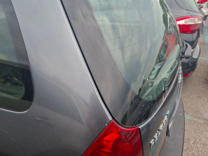 Peugeot 307 SW