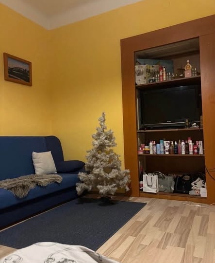 Opatija centar