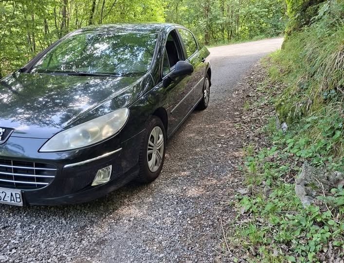Peugeot 407 1.6 HDi