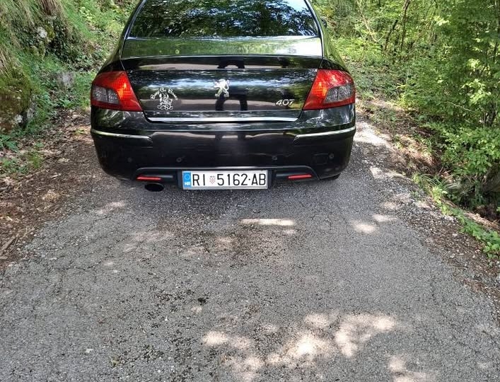 Peugeot 407 1.6 HDi