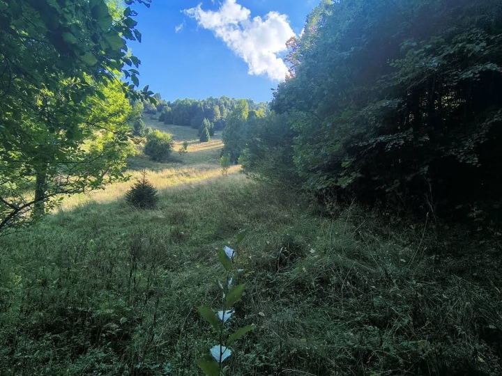 Građevinsko zemljište Gorski kotar