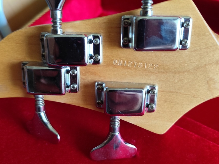 Bas gitara Yamaha i Warwick pojačalo 15 W s koferom