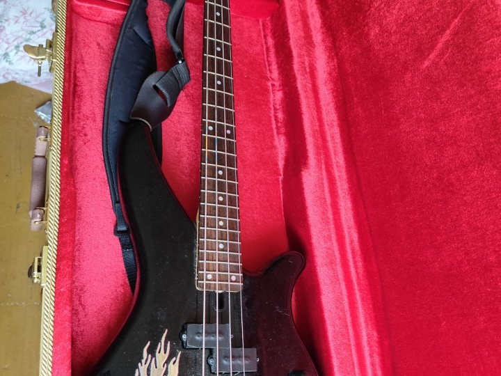 Bas gitara Yamaha i Warwick pojačalo 15 W s koferom