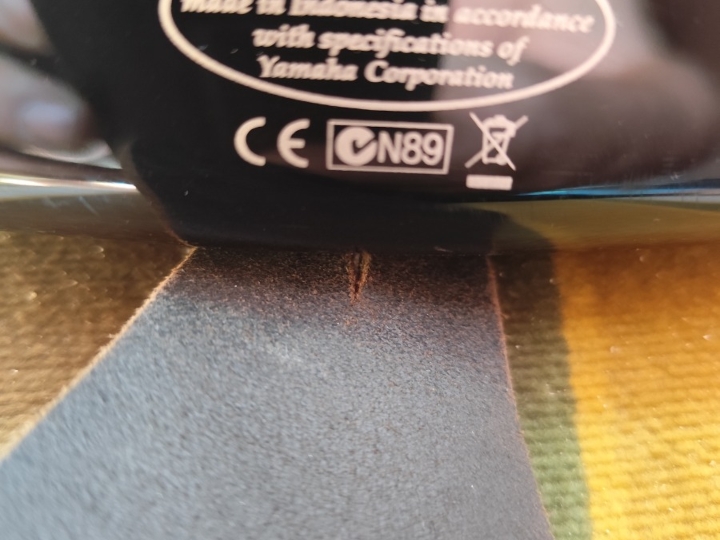 Bas gitara Yamaha i Warwick pojačalo 15 W s koferom
